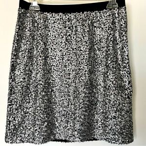 Ann Taylor LOFT Silver Chrome Sequin skirt